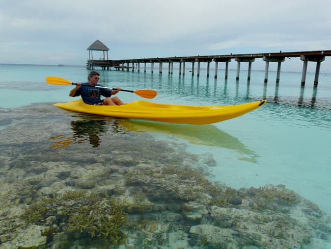 VIDEO DEL MES: BELICE