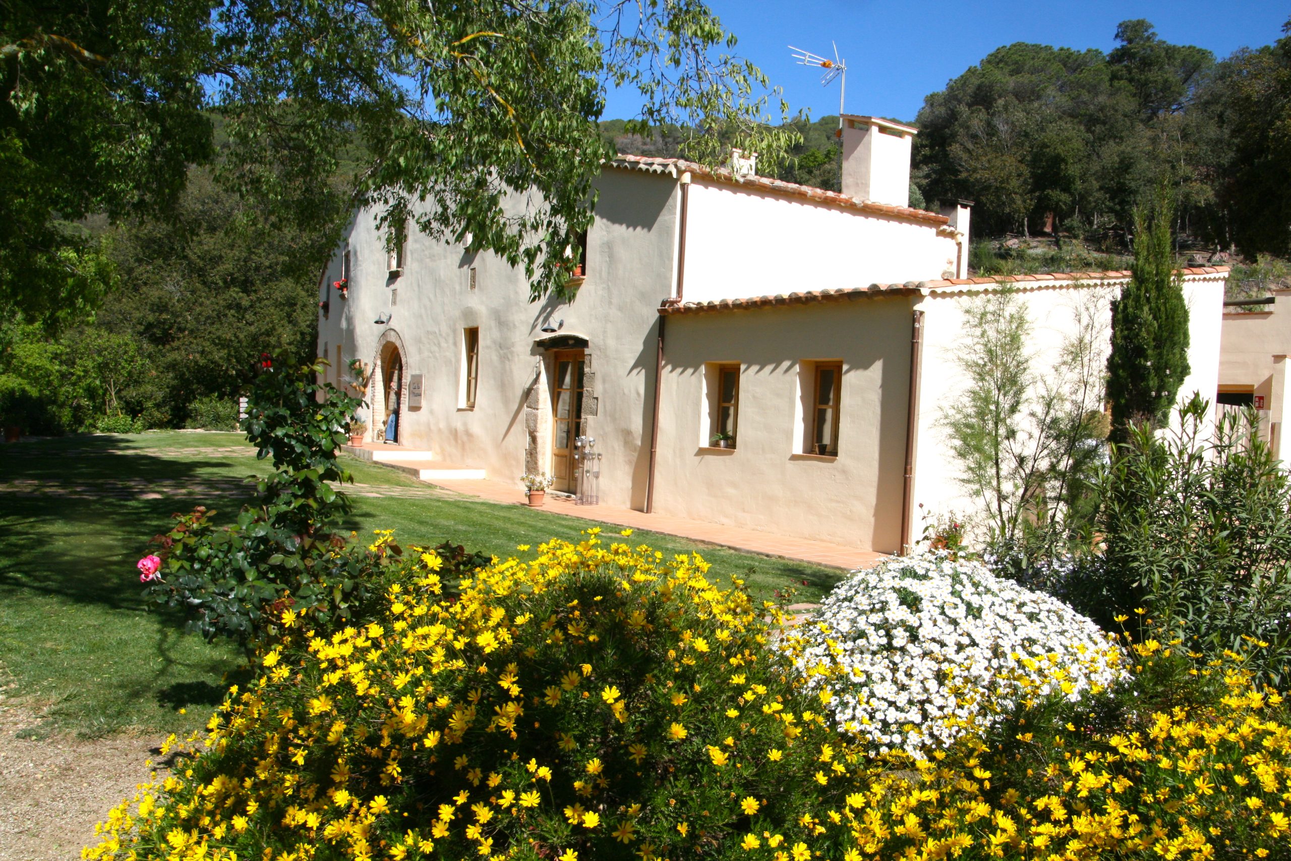 Disfruta de una experiencia de lujo en el bosque